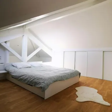 Loft De 90 M2 Centre De *