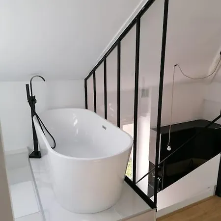 Loft De 90 M2 Centre De 比亚里茨